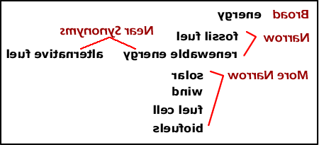 broader and narrower terms